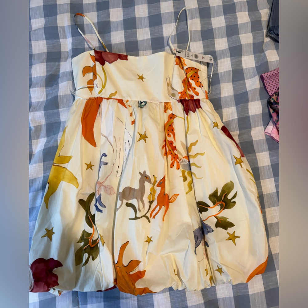 Zara Dress NWT